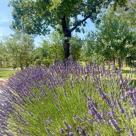 Superbe La Grande Bastide Avec Piscine, Jardin, Climatisation Et Salle De Sport * Seillans